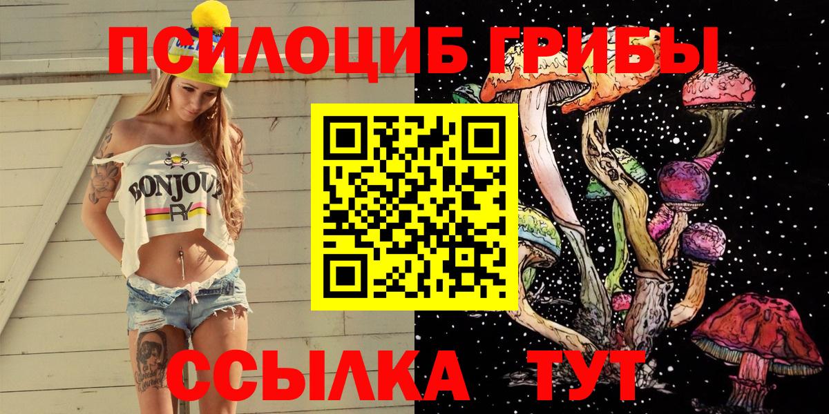 Псилоцибиновые грибы Psilocybine cubensis Зерноград